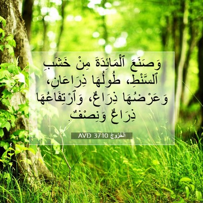 Picture 07 - اَلْخُرُوجُ 37:10 AVD - وَصَنَعَ ٱلْمَائِدَةَ - Bible Verse Picture