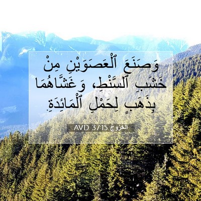 Picture 07 - اَلْخُرُوجُ 37:15 AVD - وَصَنَعَ ٱلْعَصَوَيْنِ - Bible Verse Picture