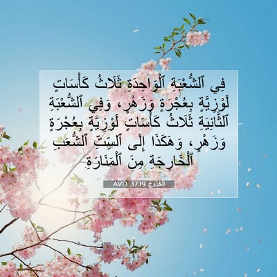 Picture 07 - اَلْخُرُوجُ 37:19 AVD - فِي ٱلشُّعْبَةِ - Bible Verse Picture