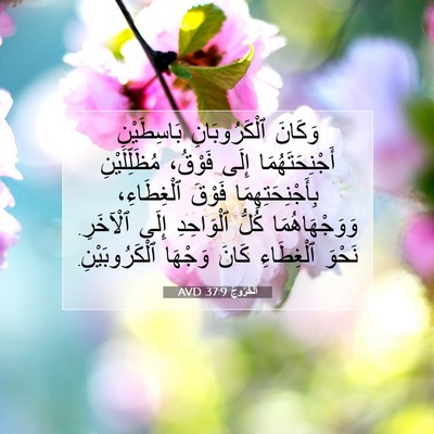 Picture 07 - اَلْخُرُوجُ 37:9 AVD - وَكَانَ ٱلْكَرُوبَانِ - Bible Verse Picture