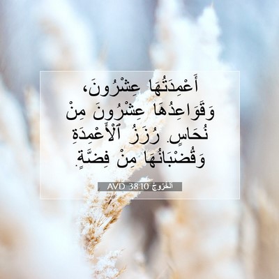 Picture 07 - اَلْخُرُوجُ 38:10 AVD - أَعْمِدَتُهَا عِشْرُونَ، - Bible Verse Picture