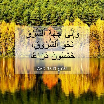 Picture 07 - اَلْخُرُوجُ 38:13 AVD - وَإِلَى جِهَةِ ٱلشَّرْقِ - Bible Verse Picture