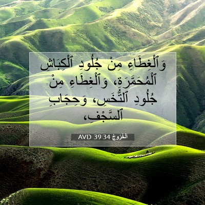 Picture 07 - اَلْخُرُوجُ 39:34 AVD - وَٱلْغِطَاءِ مِنْ جُلُودِ - Bible Verse Picture