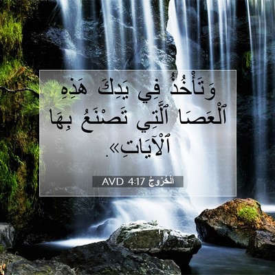 Picture 07 - اَلْخُرُوجُ 4:17 AVD - وَتَأْخُذُ فِي يَدِكَ - Bible Verse Picture