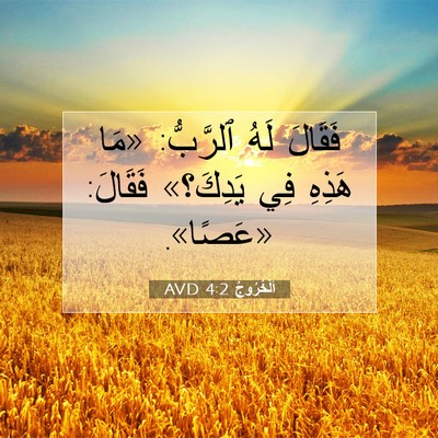 Picture 07 - اَلْخُرُوجُ 4:2 AVD - فَقَالَ لَهُ ٱلرَّبُّ: - Bible Verse Picture