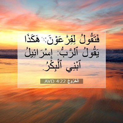 Picture 07 - اَلْخُرُوجُ 4:22 AVD - فَتَقُولُ لِفِرْعَوْنَ: - Bible Verse Picture