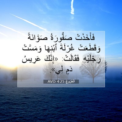 Picture 07 - اَلْخُرُوجُ 4:25 AVD - فَأَخَذَتْ صَفُّورَةُ - Bible Verse Picture
