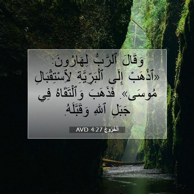 Picture 07 - اَلْخُرُوجُ 4:27 AVD - وَقَالَ ٱلرَّبُّ - Bible Verse Picture