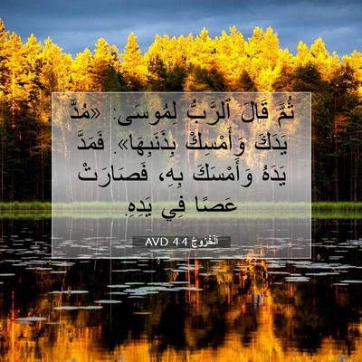 Picture 07 - اَلْخُرُوجُ 4:4 AVD - ثُمَّ قَالَ ٱلرَّبُّ - Bible Verse Picture