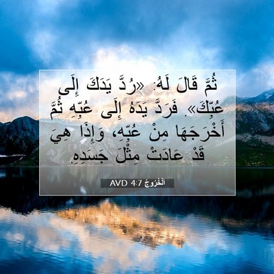 Picture 07 - اَلْخُرُوجُ 4:7 AVD - ثُمَّ قَالَ لَهُ: «رُدَّ - Bible Verse Picture
