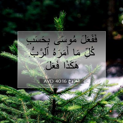 Picture 07 - اَلْخُرُوجُ 40:16 AVD - فَفَعَلَ مُوسَى بِحَسَبِ - Bible Verse Picture