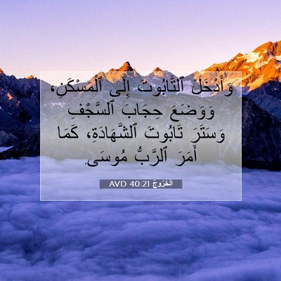 Picture 07 - اَلْخُرُوجُ 40:21 AVD - وَأَدْخَلَ ٱلتَّابُوتَ - Bible Verse Picture