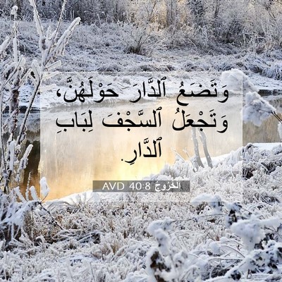 Picture 07 - اَلْخُرُوجُ 40:8 AVD - وَتَضَعُ ٱلدَّارَ - Bible Verse Picture