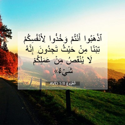 Picture 07 - اَلْخُرُوجُ 5:11 AVD - ٱذْهَبُوا أَنْتُمْ - Bible Verse Picture