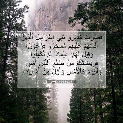 Picture 07 - اَلْخُرُوجُ 5:14 AVD - فَضُرِبَ مُدَبِّرُو بَنِي - Bible Verse Picture