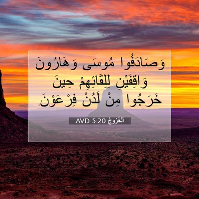 Picture 07 - اَلْخُرُوجُ 5:20 AVD - وَصَادَفُوا مُوسَى - Bible Verse Picture