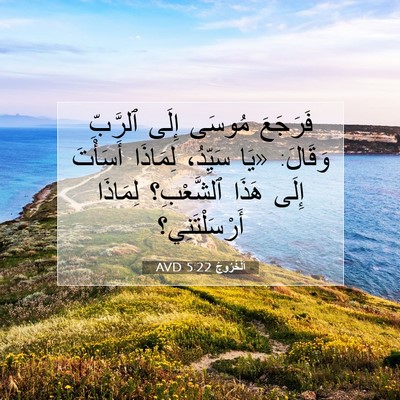 Picture 07 - اَلْخُرُوجُ 5:22 AVD - فَرَجَعَ مُوسَى إِلَى - Bible Verse Picture