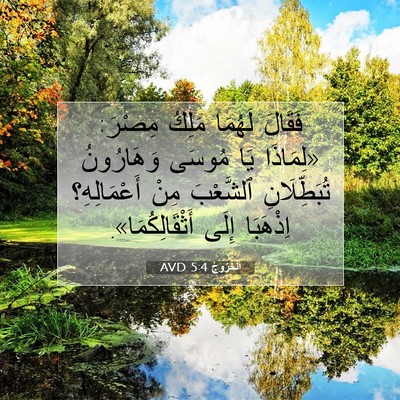 Picture 07 - اَلْخُرُوجُ 5:4 AVD - فَقَالَ لَهُمَا مَلِكُ - Bible Verse Picture