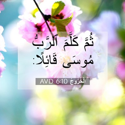 Picture 07 - اَلْخُرُوجُ 6:10 AVD - ثُمَّ كَلَّمَ ٱلرَّبُّ - Bible Verse Picture