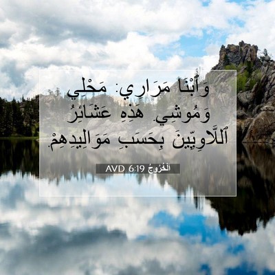 Picture 07 - اَلْخُرُوجُ 6:19 AVD - وَٱبْنَا مَرَارِي: مَحْلِي - Bible Verse Picture