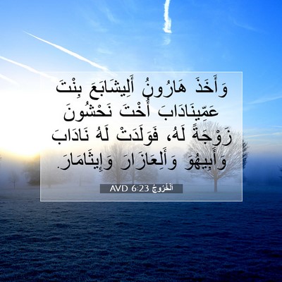 Picture 07 - اَلْخُرُوجُ 6:23 AVD - وَأَخَذَ هَارُونُ - Bible Verse Picture