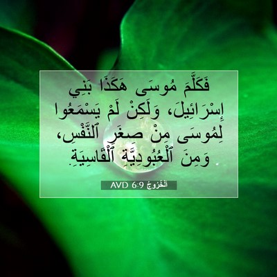 Picture 07 - اَلْخُرُوجُ 6:9 AVD - فَكَلَّمَ مُوسَى هَكَذَا - Bible Verse Picture