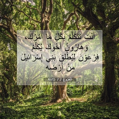 Picture 07 - اَلْخُرُوجُ 7:2 AVD - أَنْتَ تَتَكَلَّمُ - Bible Verse Picture
