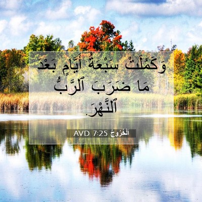 Picture 07 - اَلْخُرُوجُ 7:25 AVD - وَكَمُلَتْ سَبْعَةُ - Bible Verse Picture