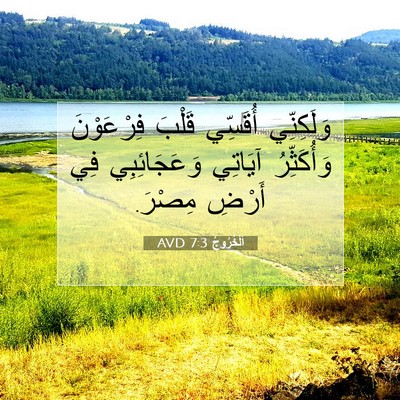 Picture 07 - اَلْخُرُوجُ 7:3 AVD - وَلَكِنِّي أُقَسِّي - Bible Verse Picture