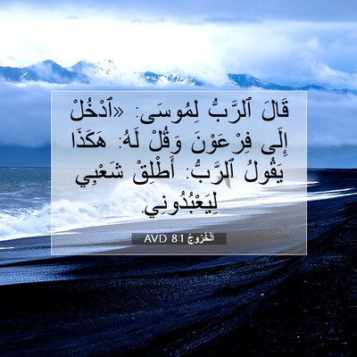 Picture 07 - اَلْخُرُوجُ 8:1 AVD - قَالَ ٱلرَّبُّ لِمُوسَى: - Bible Verse Picture