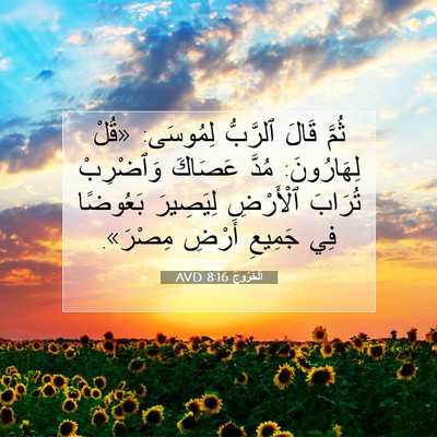 Picture 07 - اَلْخُرُوجُ 8:16 AVD - ثُمَّ قَالَ ٱلرَّبُّ - Bible Verse Picture