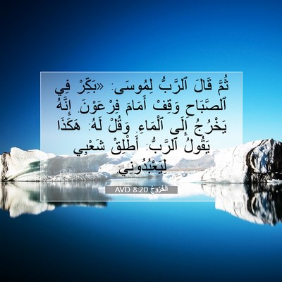 Picture 07 - اَلْخُرُوجُ 8:20 AVD - ثُمَّ قَالَ ٱلرَّبُّ - Bible Verse Picture