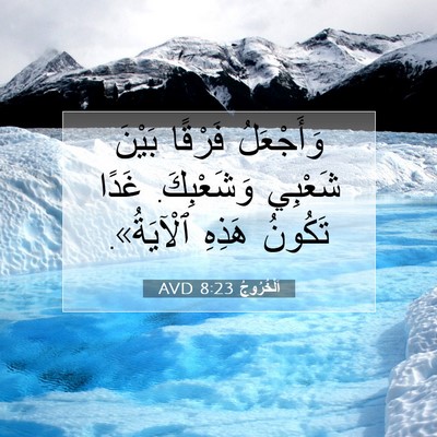 Picture 07 - اَلْخُرُوجُ 8:23 AVD - وَأَجْعَلُ فَرْقًا بَيْنَ - Bible Verse Picture