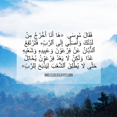Picture 07 - اَلْخُرُوجُ 8:29 AVD - فَقَالَ مُوسَى: «هَا أَنَا - Bible Verse Picture
