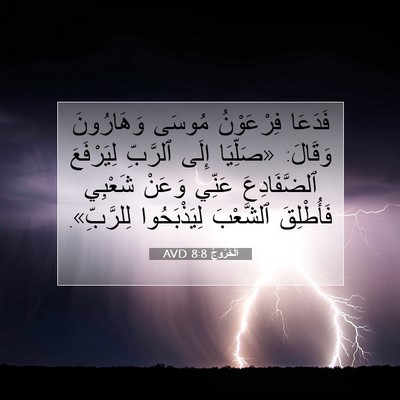 Picture 07 - اَلْخُرُوجُ 8:8 AVD - فَدَعَا فِرْعَوْنُ مُوسَى - Bible Verse Picture