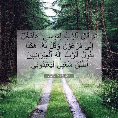 Picture 07 - اَلْخُرُوجُ 9:1 AVD - ثُمَّ قَالَ ٱلرَّبُّ - Bible Verse Picture