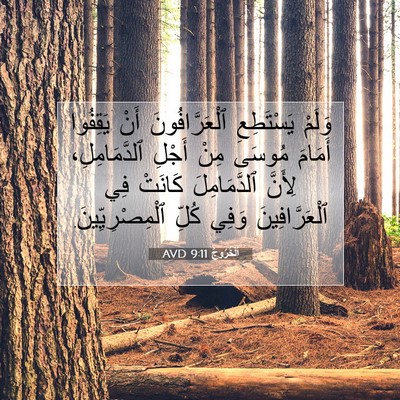 Picture 07 - اَلْخُرُوجُ 9:11 AVD - وَلَمْ يَسْتَطِعِ - Bible Verse Picture
