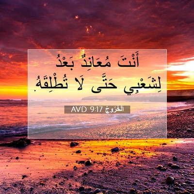 Picture 07 - اَلْخُرُوجُ 9:17 AVD - أَنْتَ مُعَانِدٌ بَعْدُ - Bible Verse Picture