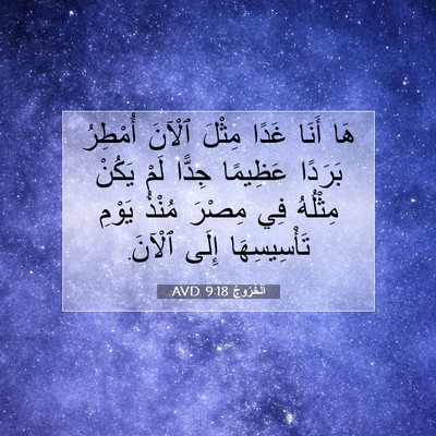 Picture 07 - اَلْخُرُوجُ 9:18 AVD - هَا أَنَا غَدًا مِثْلَ - Bible Verse Picture