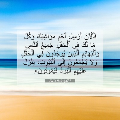 Picture 07 - اَلْخُرُوجُ 9:19 AVD - فَٱلْآنَ أَرْسِلِ ٱحْمِ - Bible Verse Picture