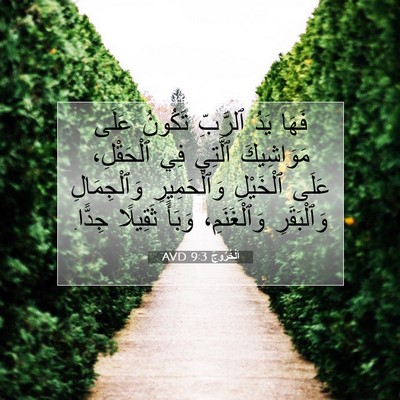 Picture 07 - اَلْخُرُوجُ 9:3 AVD - فَهَا يَدُ ٱلرَّبِّ - Bible Verse Picture