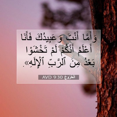 Picture 07 - اَلْخُرُوجُ 9:30 AVD - وَأَمَّا أَنْتَ - Bible Verse Picture