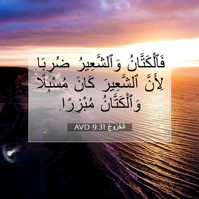 Picture 07 - اَلْخُرُوجُ 9:31 AVD - فَٱلْكَتَّانُ - Bible Verse Picture