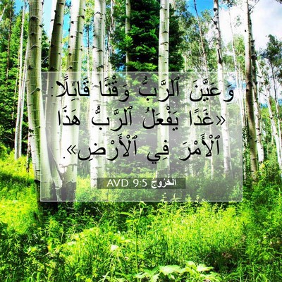 Picture 07 - اَلْخُرُوجُ 9:5 AVD - وَعَيَّنَ ٱلرَّبُّ - Bible Verse Picture