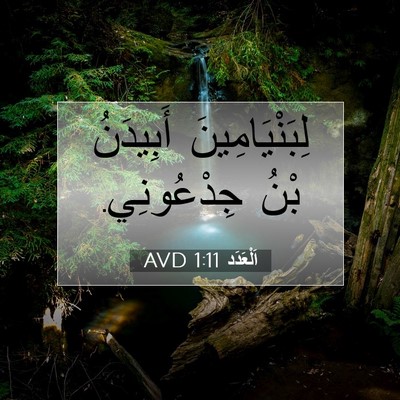 Picture 07 - اَلْعَدَد 1:11 AVD - لِبَنْيَامِينَ أَبِيدَنُ - Bible Verse Picture