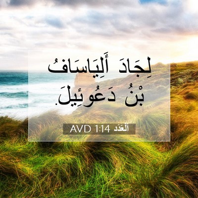 Picture 07 - اَلْعَدَد 1:14 AVD - لِجَادَ أَلِيَاسَافُ بْنُ - Bible Verse Picture