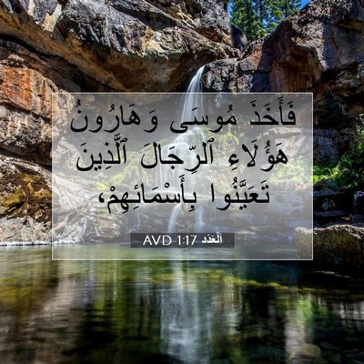 Picture 07 - اَلْعَدَد 1:17 AVD - فَأَخَذَ مُوسَى - Bible Verse Picture