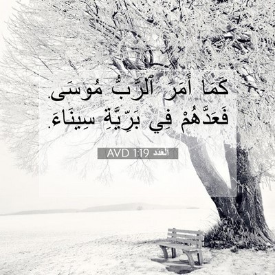 Picture 07 - اَلْعَدَد 1:19 AVD - كَمَا أَمَرَ ٱلرَّبُّ - Bible Verse Picture