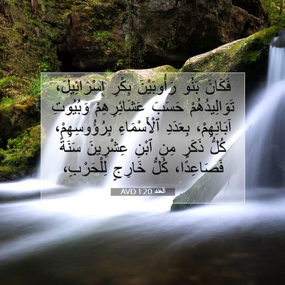 Picture 07 - اَلْعَدَد 1:20 AVD - فَكَانَ بَنُو رَأُوبَيْنَ - Bible Verse Picture