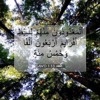 Picture 07 - اَلْعَدَد 1:33 AVD - ٱلْمَعْدُودُونَ مِنْهُمْ - Bible Verse Picture
